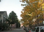 秋の通学路 秋の通学路